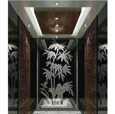 吊頂不銹鋼后壁藝術(shù)玻璃鏡乘客電梯